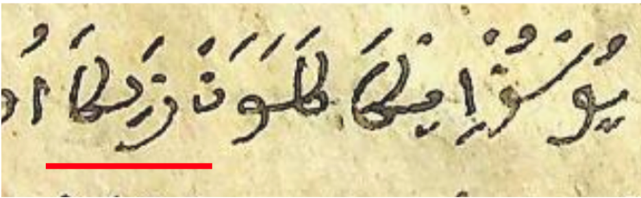 pic3